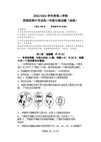 生物-江苏省盐城市五校联盟2023-2024学年高一下学期期中考试题
