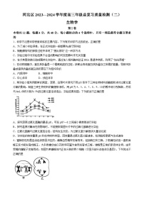 天津市河北区2024届高三下学期二模生物试卷（Word版附答案）