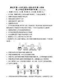 广东省肇庆市第一中学2023-2024学年高二下学期期中考试生物试题