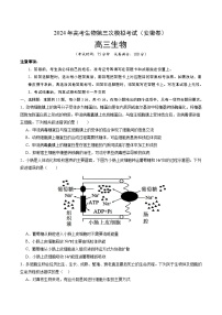 2024年高考第三次模拟考试题：生物（安徽卷）（考试版）