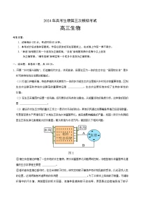 2024年高考第三次模拟考试题：生物（上海卷）（解析版）