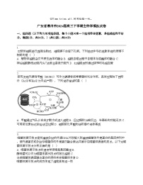 广东省惠州市2024届高三下学期生物学模拟试卷