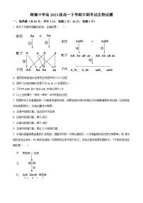 四川省成都市青羊区树德中学2023-2024学年高一下学期5月期中生物试题（原卷版+解析版）