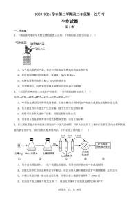 101，山东省聊城市临清市2023-2024学年高二下学期3月考试生物试题