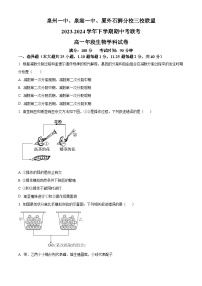 福建省泉州市泉州一中、泉港一中、厦外石狮分校三校联盟2023-2024学年高一下学期5月期中生物试题