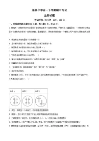 山东省泰安市新泰第一中学老校区（新泰中学）2023-2024学年高一下学期期中考试生物试题