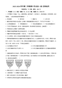 广东省湛江市第二十一中学2023-2024学年高一下学期期中考试生物（选考）试卷（原卷版+解析版）