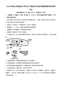 2024年普通高等学校招生全国统一考试高考模拟调研卷生物学（四）（原卷版+解析版）