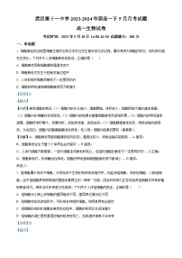 湖北省武汉市十一中2023-2024学年高一下学期5月月考生物试题（Word版附解析）