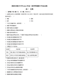 湖南省株洲市南方中学2023-2024学年高一下学期期中考试生物试题（原卷版+解析版）