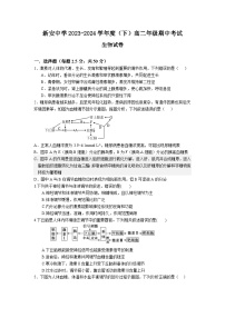 安徽省六安市裕安区新安中学2023-2024学年高二下学期期中考试生物试题