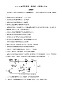 2024南通海安高级中学高二下学期期中考试生物含解析