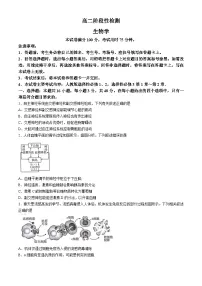 2024白银高二下学期5月期中考试生物含答案
