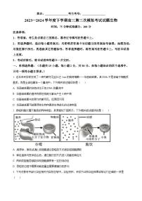 2024届辽宁省沈阳市第二中学高三三模生物试题（原卷版+解析版）