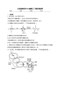 山东省潍坊市2024届高三二模生物试卷(含答案)