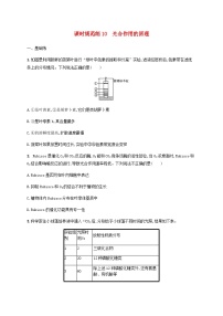 高考生物一轮复习专项练习课时规范练10光合作用的原理含答案