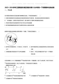 2023_2024学年江西南昌东湖区南昌市第十九中学高一下学期期中生物试卷