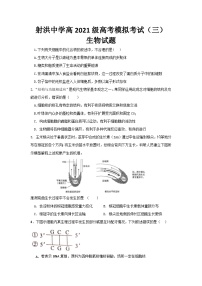 四川省遂宁市射洪中学2024届高三下学期5月三模生物试题（Word版附答案）