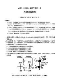 2024届安徽省合肥市一中高三最后一卷（三模）生物试题