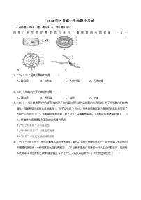 湖南省岳阳市湘阴县第一中学2023-2024学年高二下学期5月期中生物试题