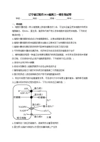 辽宁省辽阳市2024届高三一模生物试卷(含答案)