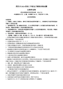 2024武汉高三下学期5月模拟训练生物试卷含答案答题卡