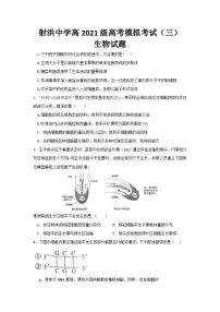 2024遂宁射洪中学高三下学期5月三模试题生物含答案
