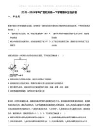 2023_2024学年广西钦州高一下学期期中生物试卷