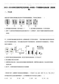 2023_2024学年天津和平区天津市第一中学高一下学期期中生物试卷（质量调查）