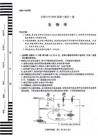 2024届安徽省合肥六中高三最后一卷生物试卷