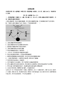 2024河北省雄安新区部分高中高三下学期三模考试生物含答案