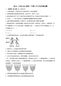 四川省眉山市彭山区第一中学2023-2024学年高一下学期5月期中生物试题（原卷版+解析版）