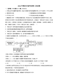 2024年重庆市高考生物三诊生物试题（原卷版+解析版）