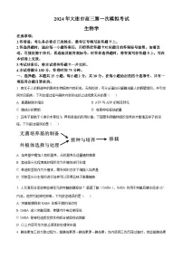 辽宁省大连市第三中学2023-2024高三下学期一模生物试题（原卷版+解析版）