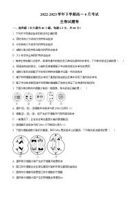 云南省红河州建水实验中学2022-2023学年高一下学期4月考试生物试题（原卷版+解析版）