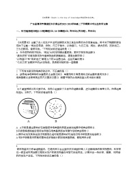 广东省惠州市惠城区华罗庚名校2023-2024学年高二下学期期中考试生物学试卷