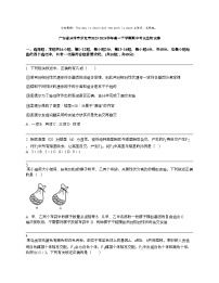 广东省云浮市罗定市2023-2024学年高一下学期期中考试生物试卷