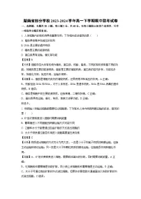 【生物】湖南省部分学校2023-2024学年高一下学期期中联考试卷（解析版）