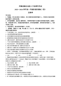 河南省濮阳市南乐县豫北名校2023-2024学年高一下学期5月月考生物试题(无答案)