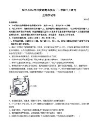 湖南省湘楚名校2023-2024学年高一下学期5月月考生物试题