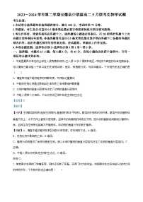 安徽省县中联盟2023-2024学年高二下学期5月月考生物试题（学生版+教师版）