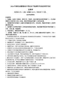 湖北省襄阳市第四中学2024届高三下学期一模生物试题（Word版附答案）