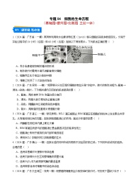 专题04 细胞的生命历程-【分项汇编】2024年高考生物一模试题分类汇编（广东专用）