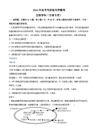 2024届甘肃省白银市靖远县第二中学高三下学期模拟预测生物试题（学生版+教师版）