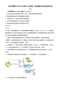 天津市和平区耀华中学2023-2024学年高三下学期第二次模拟生物试题（学生版+教师版）