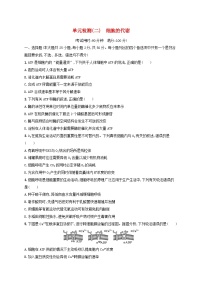 适用于新高考新教材浙江专版2025届高考生物一轮总复习单元检测2细胞的代谢浙科版