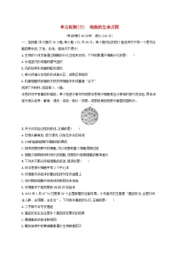 适用于新高考新教材浙江专版2025届高考生物一轮总复习单元检测3细胞的生命历程浙科版