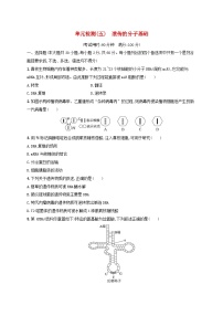 适用于新高考新教材浙江专版2025届高考生物一轮总复习单元检测5遗传的分子基础浙科版