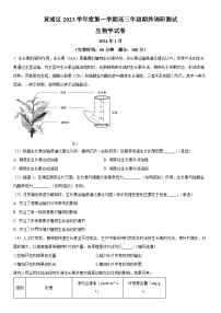 2024年上海市黄浦区高三高考一模生物试卷含详解