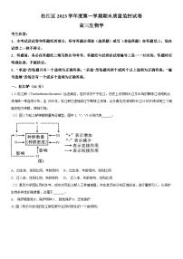 2024年上海市松江区高三上学期高考&等级考生物一模试卷含详解